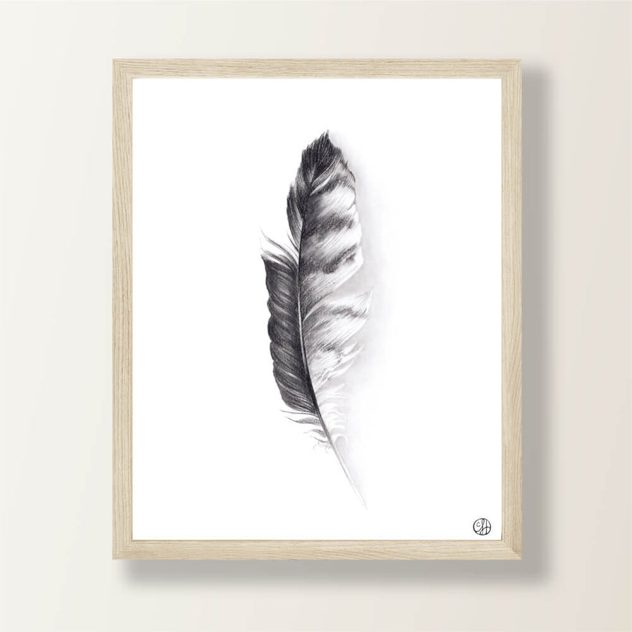 Feather 1 Graphite Drawing | Art Print