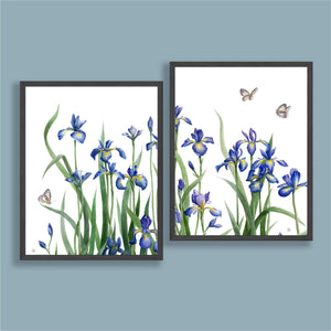 Extra Large Iris & Butterfly Diptych Prints - Set of 2