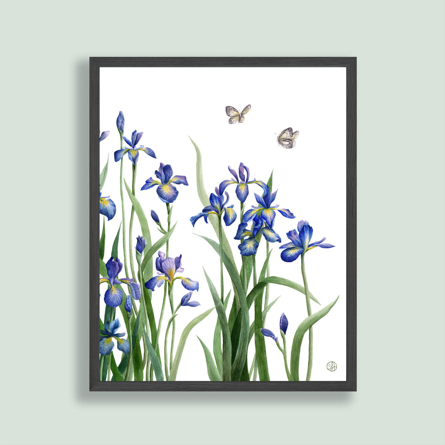 Large Iris & Butterfly Print - Vertical