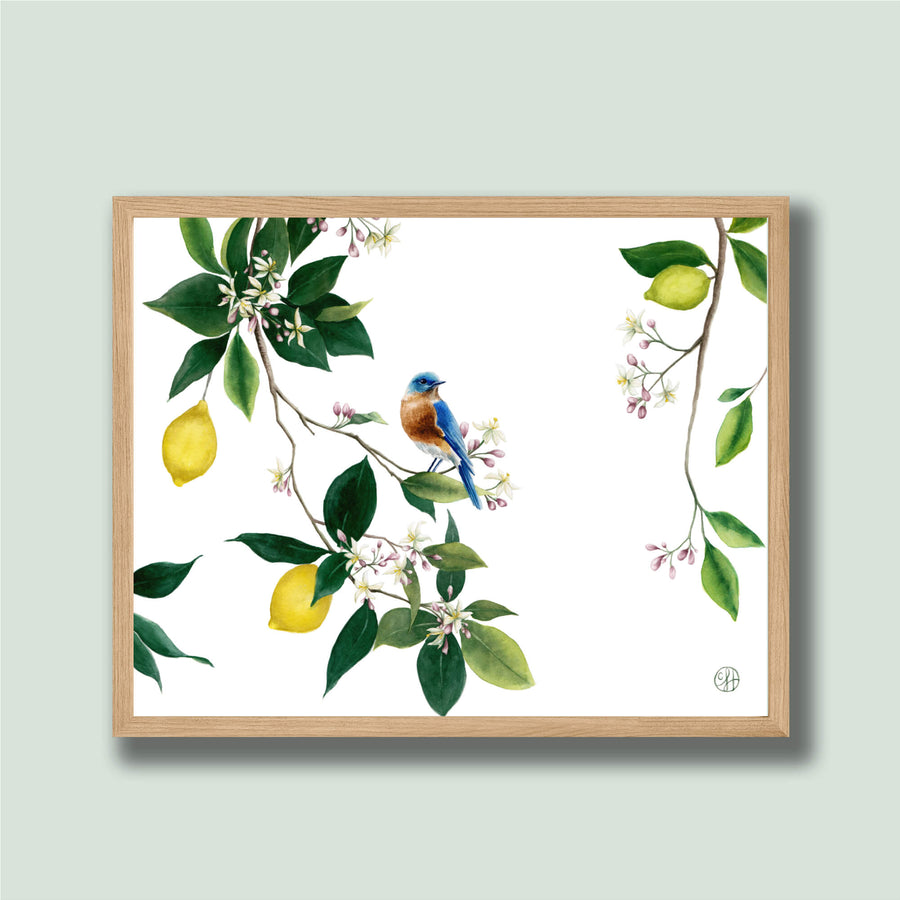 Extra Large Lemon Tree & Bluebird Print