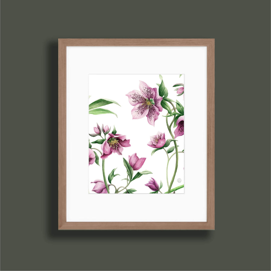 Medium Lenten Roses Print - Vertical