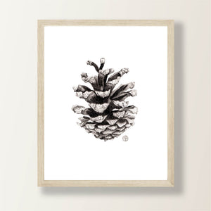 Woodland Pinecone Print