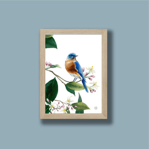 Small Bluebird Print